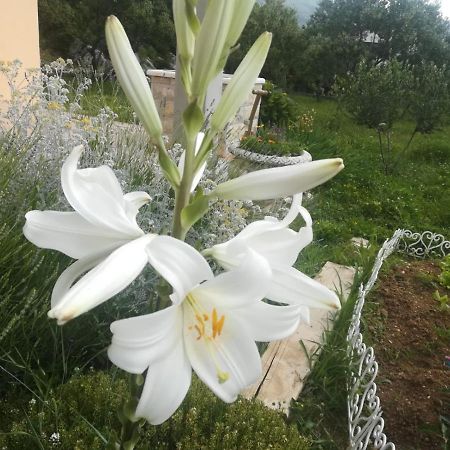 Castello Flower Apartment Kaštela Exteriör bild
